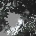 http://www.lightizm.com/files/gimgs/th-76_71_Nostalgia2_v2.jpg